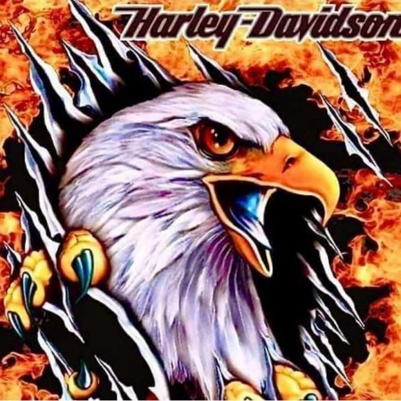 Examples of Harley magnets - Picture 8 of 16